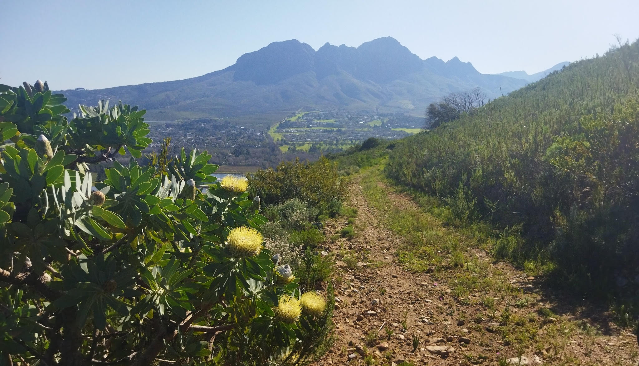 table mountain